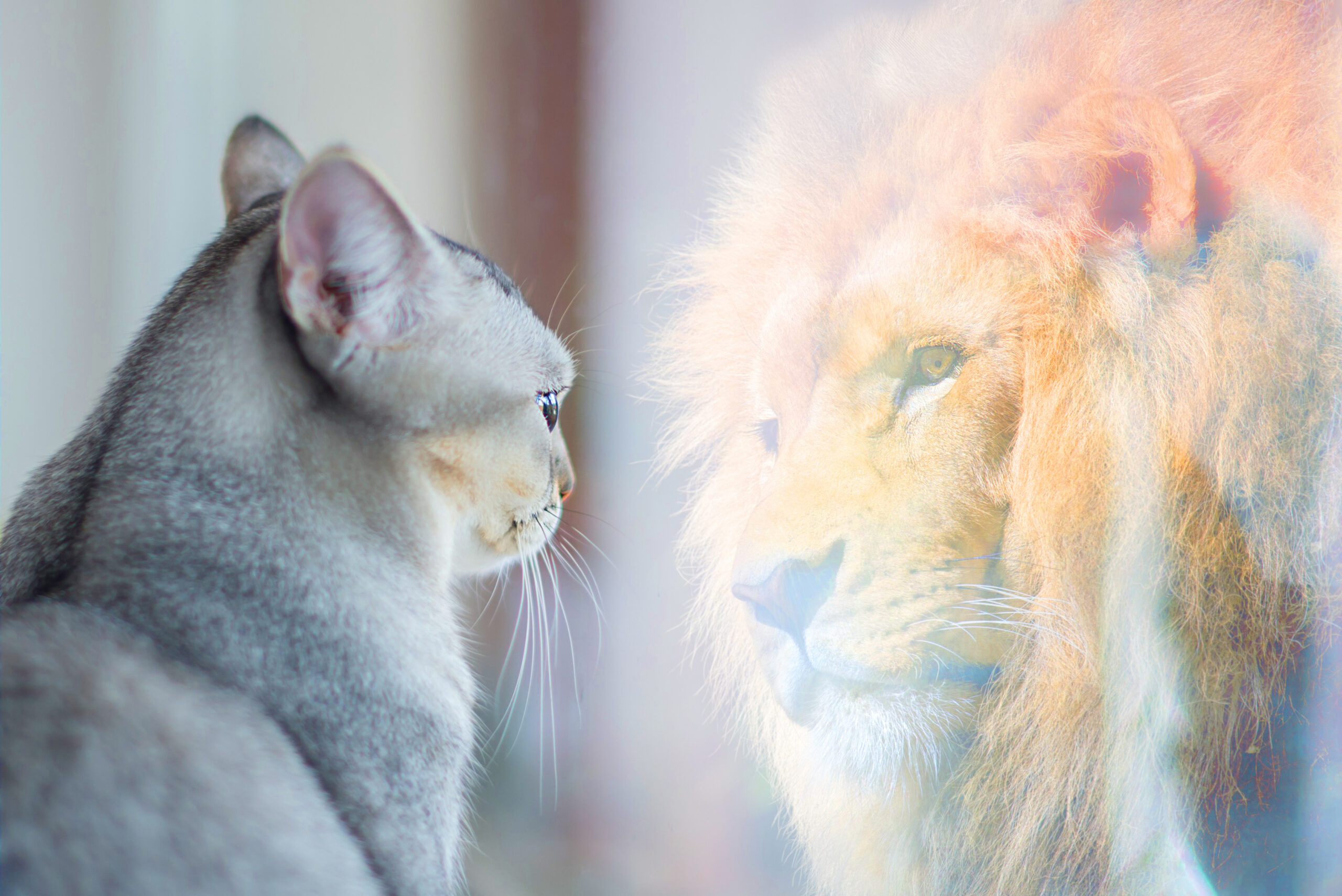 Coaching Image_Dreamstime